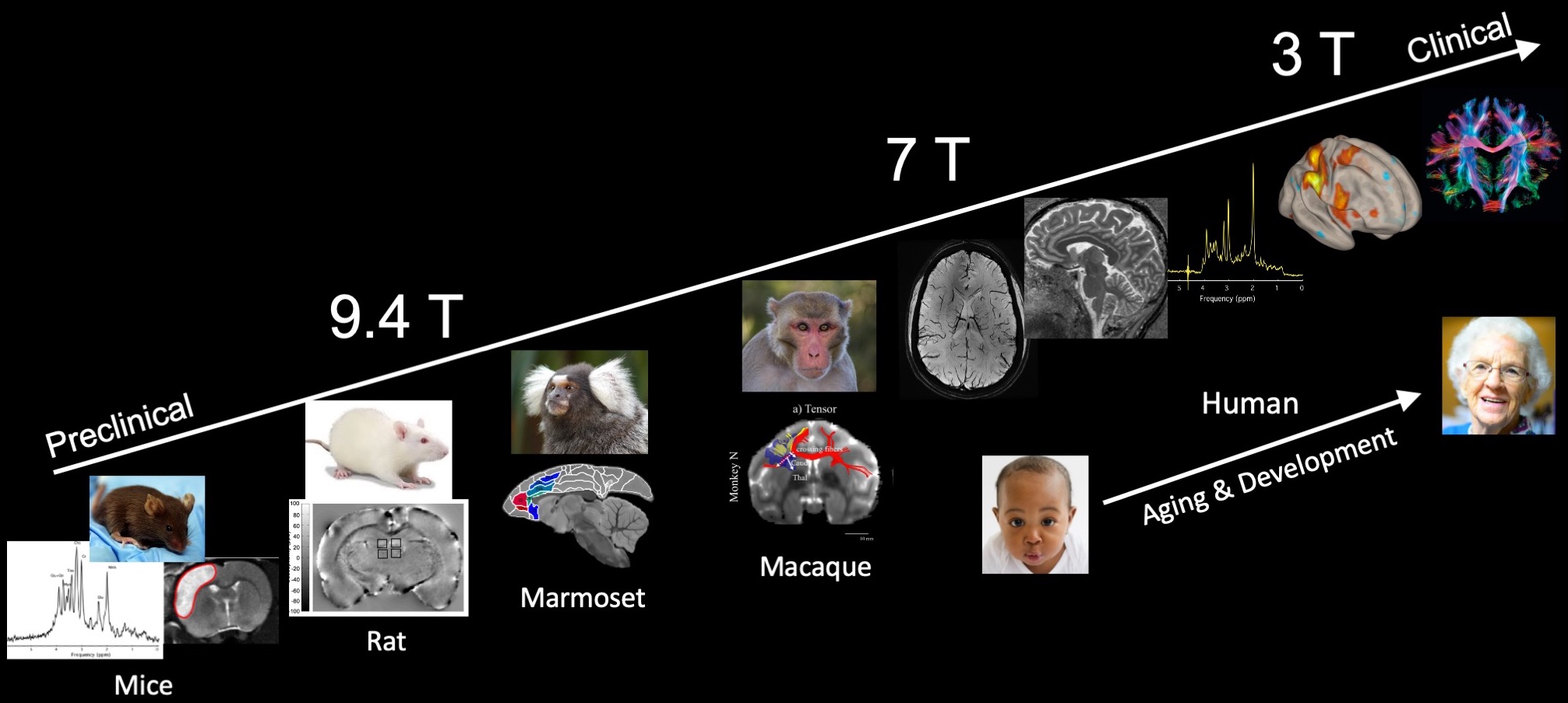 PreClinical2Clinical.jpg