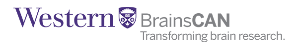 BrainsCAN Logo